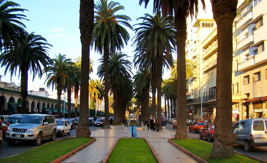 8-Day Morocco Tour from Casablanca, scene 3